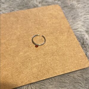 Elegant Silver nose ring with Red Accent